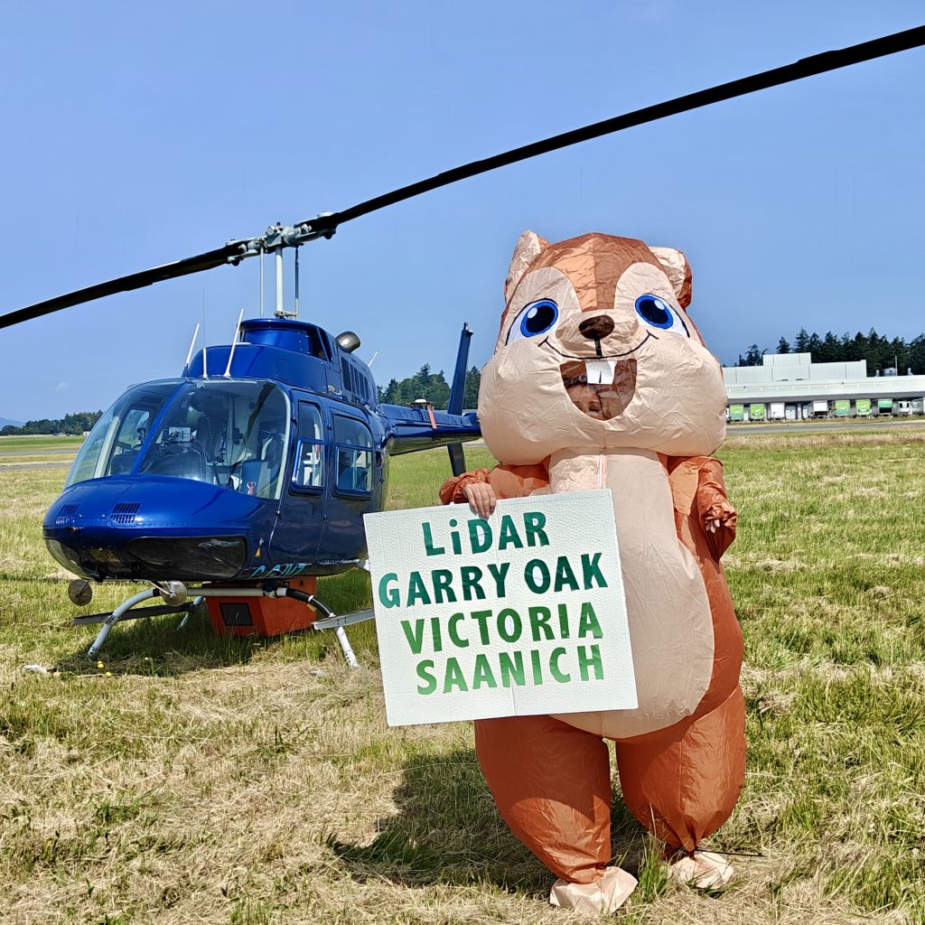 Photo by Ryan Senechal. On location at the Victoria International Airport. Bell 206B3 Jet Ranger, equipped with a Phase One IXM-100 camera.