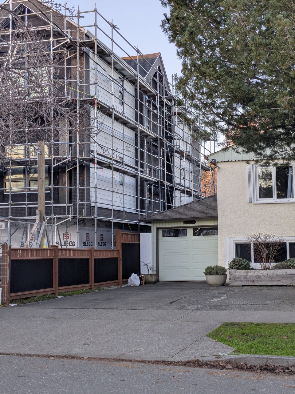 Saanich Is Rethinking How Tree Protection Is Measured: From Tree Counts to Canopy Cover