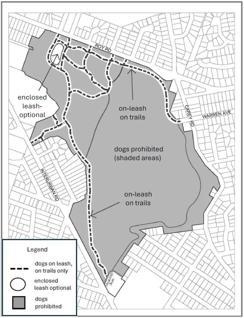 Panama Flats: When Biodiversity and Dog Access Collide — and What Council Decided